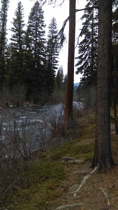 Jennings Camp Campground 7
