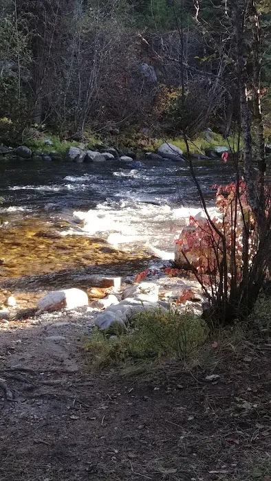 Jennings Camp Campground 8