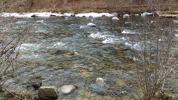 Jennings Camp Campground 9