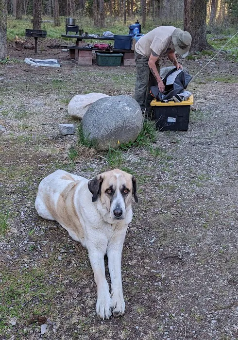 Twin Creek Campground & Group Picnic 6