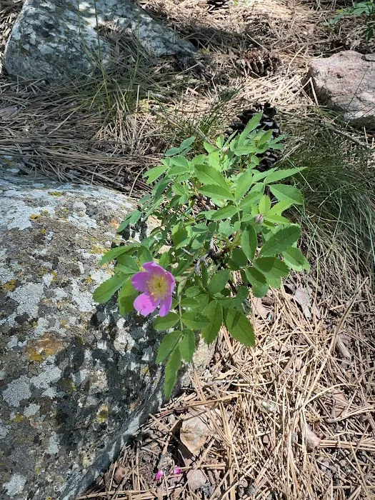 Upper Como Campground 2