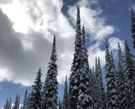 Schumaker Campground