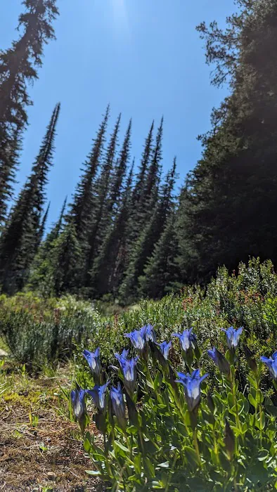 Schumaker Campground 6