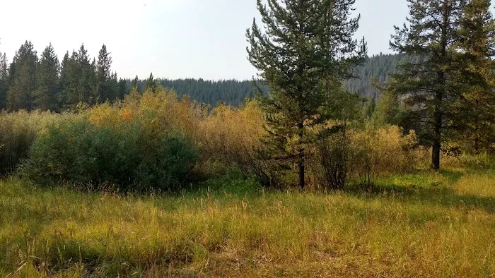 May Creek Campground 1