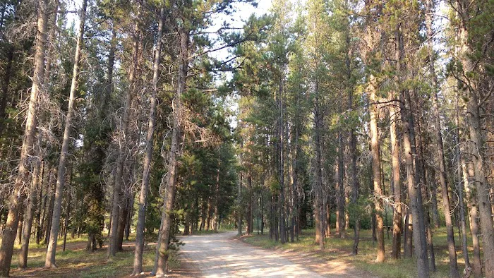 May Creek Campground 4