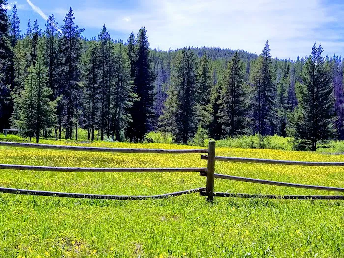 May Creek Campground 5