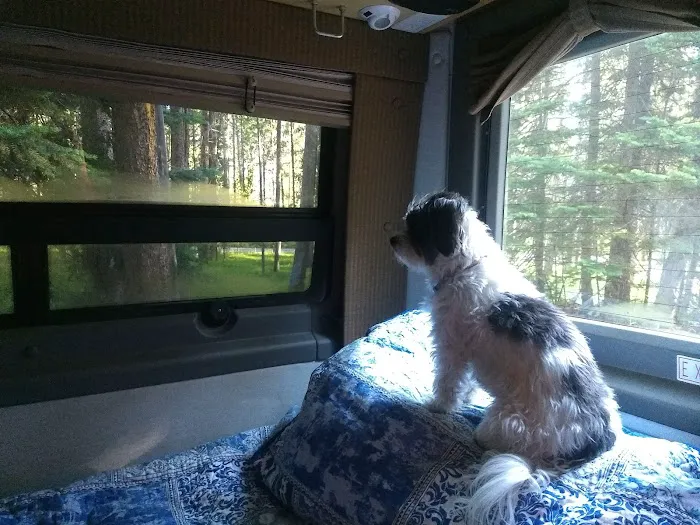 May Creek Campground 9