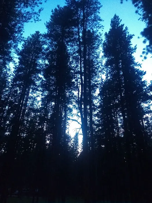 May Creek Campground 8