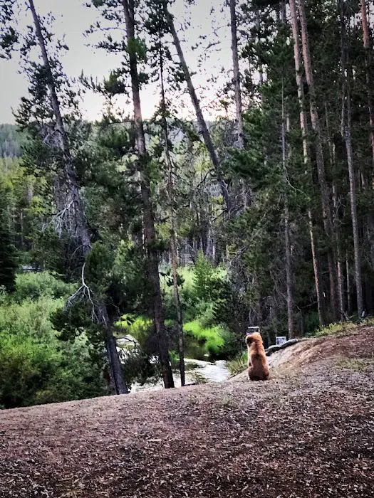 Mussigbrod Campground 0