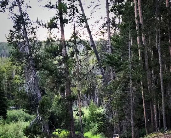Mussigbrod Campground