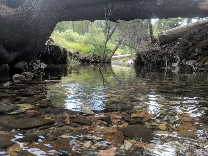 Mill Creek Campground 3