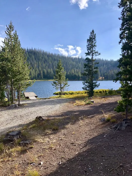 Little Bayhorse Lake Campground 5