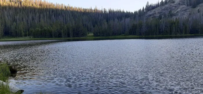 Little Bayhorse Lake Campground 6