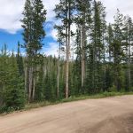 Big Bayhorse Campground