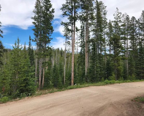 Big Bayhorse Campground