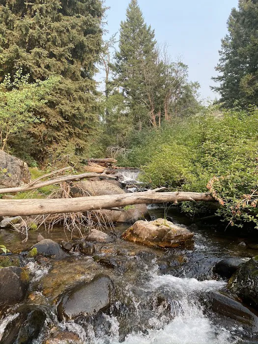 Big Bayhorse Campground 2
