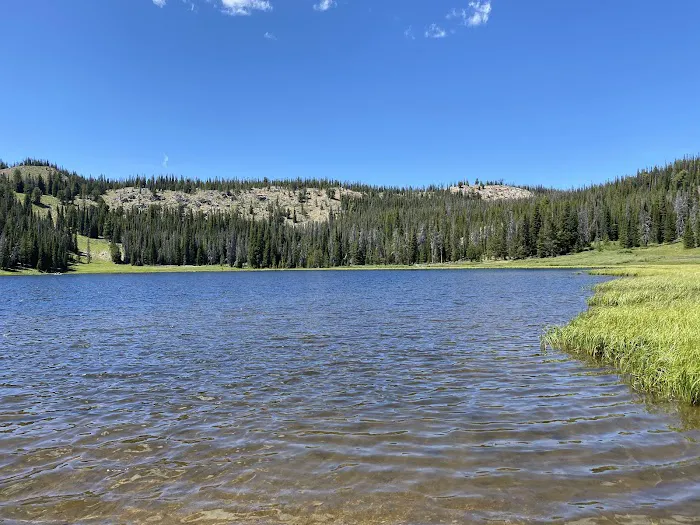 Big Bayhorse Campground 1