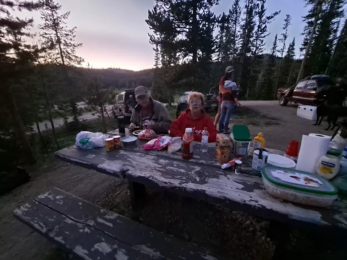 Big Bayhorse Campground 3