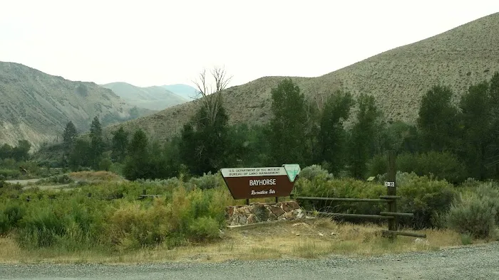 Big Bayhorse Campground 6