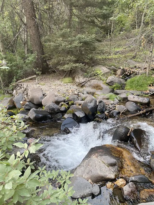 Big Bayhorse Campground 8