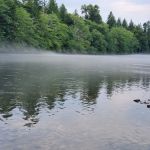 Cowlitz Timber Trails Association