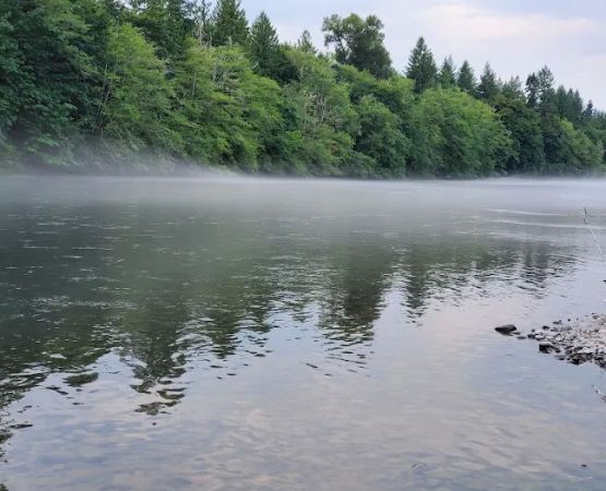 Cowlitz Timber Trails Association
