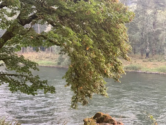 Cowlitz Timber Trails Association 4