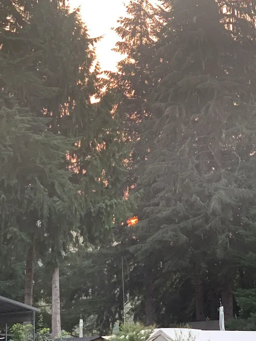 Cowlitz Timber Trails Association 6