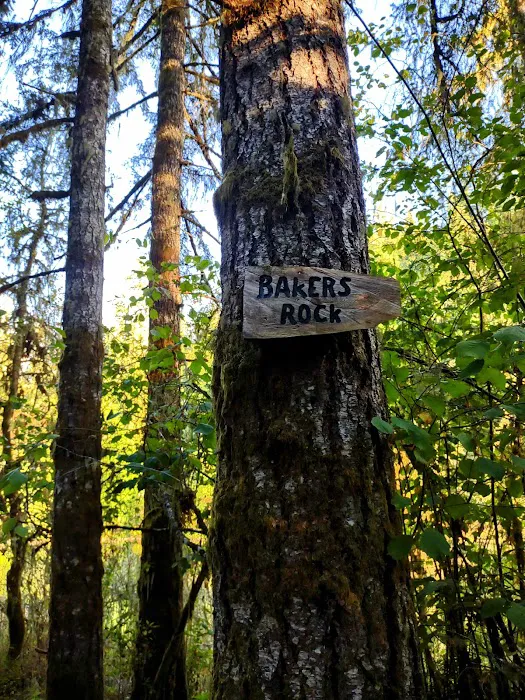 Cowlitz Timber Trails Association 8