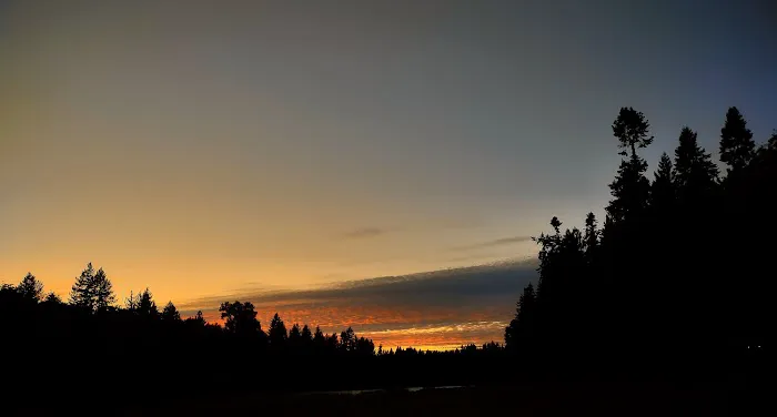 Cowlitz Timber Trails Association 9