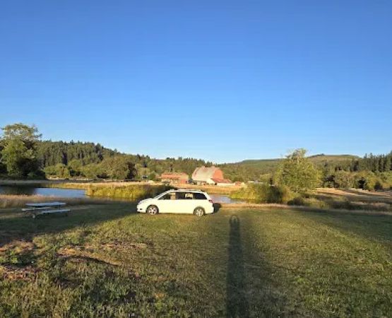 Camping at Taylor Farm