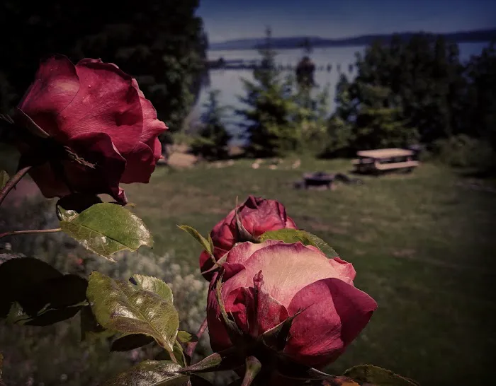 Rose Creek Retreat 0