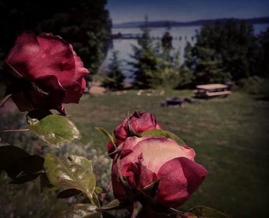 Rose Creek Retreat