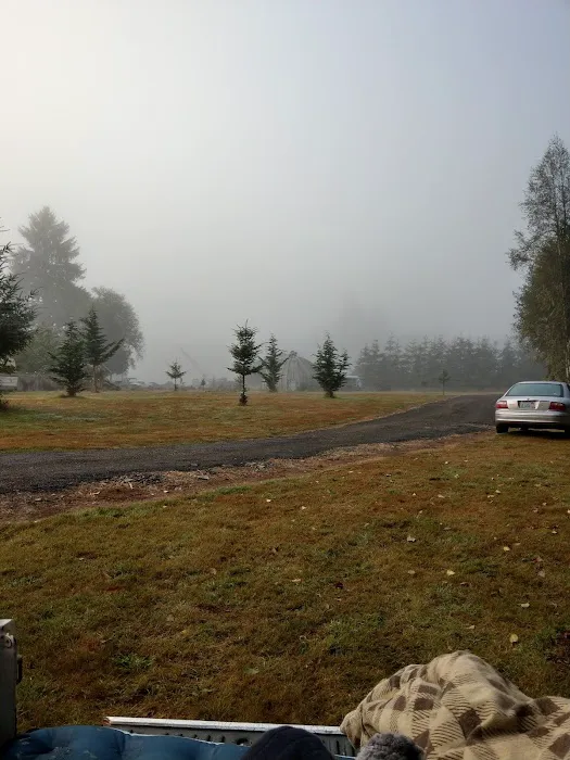 Deep River Camp 4