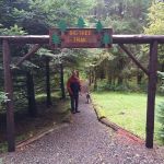 Northrup Creek Horse Camp