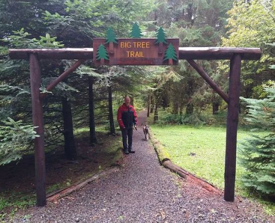 Northrup Creek Horse Camp