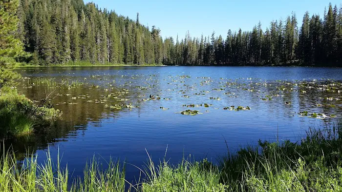 Boulder Lake 6
