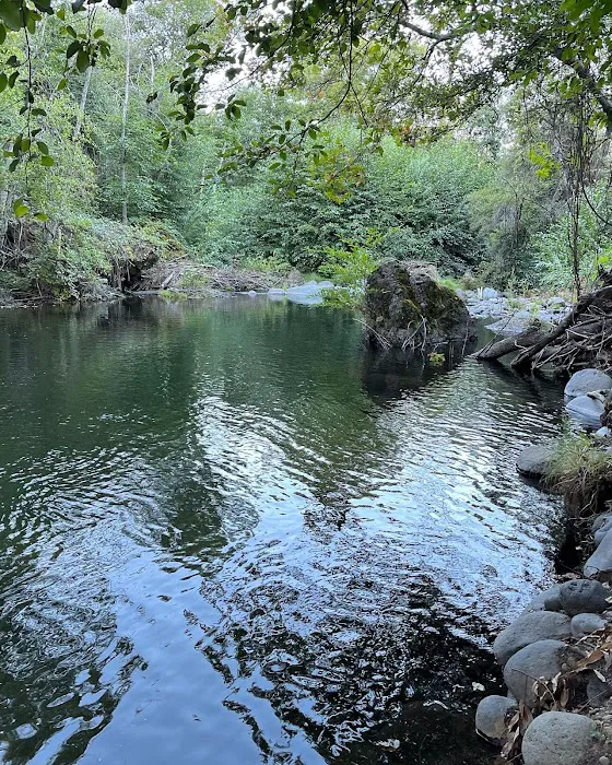 Fischer Campground 2