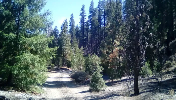 Thomes Pocket Camping Area 2