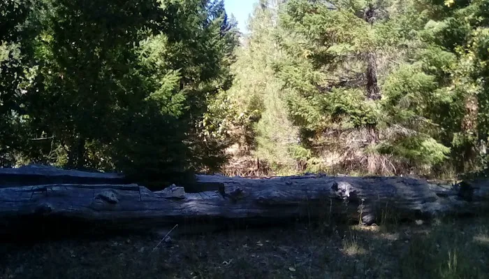 Thomes Pocket Camping Area 1
