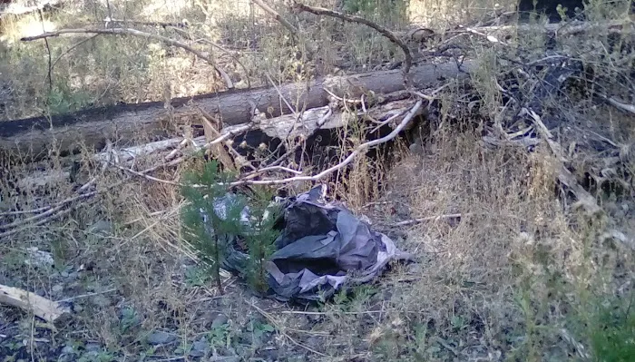 Thomes Pocket Camping Area 7