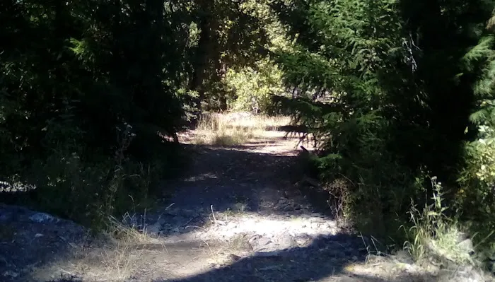 Thomes Pocket Camping Area 6