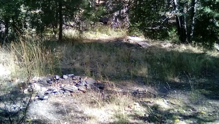 Thomes Pocket Camping Area 9