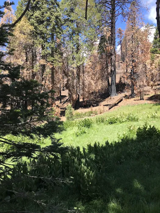 Green Springs Campground 2