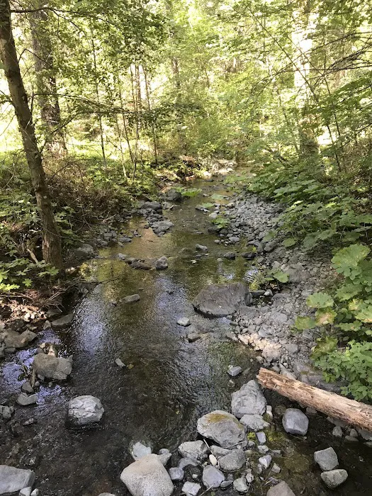 Basin Gulch Mid-fk Cottonwood Creek Cg-f 2