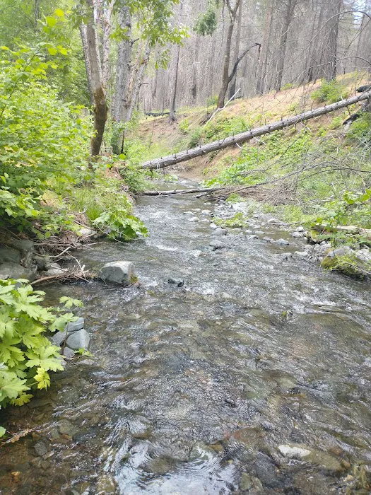Basin Gulch Mid-fk Cottonwood Creek Cg-f 3