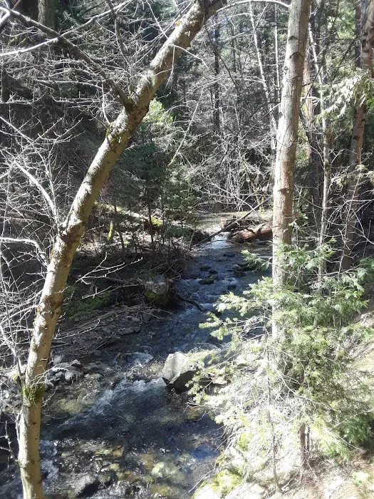 North Fork Beegum Creek Fcg 2