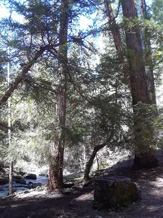 North Fork Beegum Creek Fcg 1