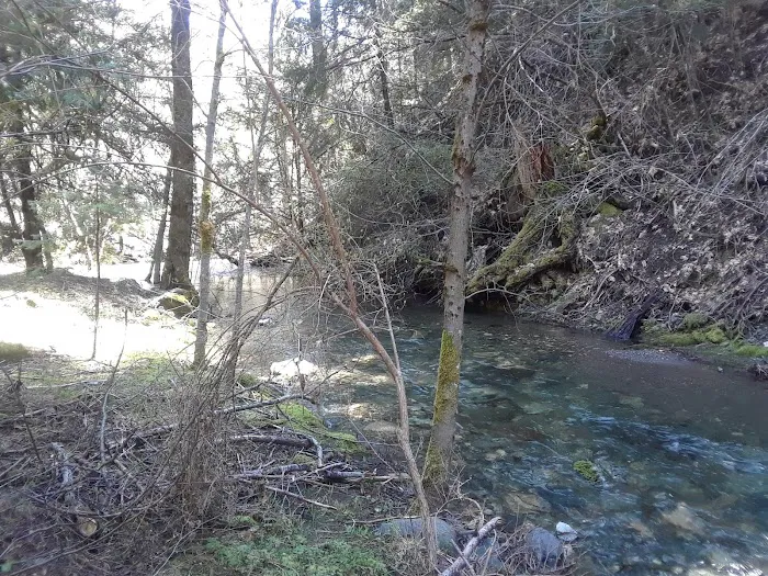 North Fork Beegum Creek Fcg 0