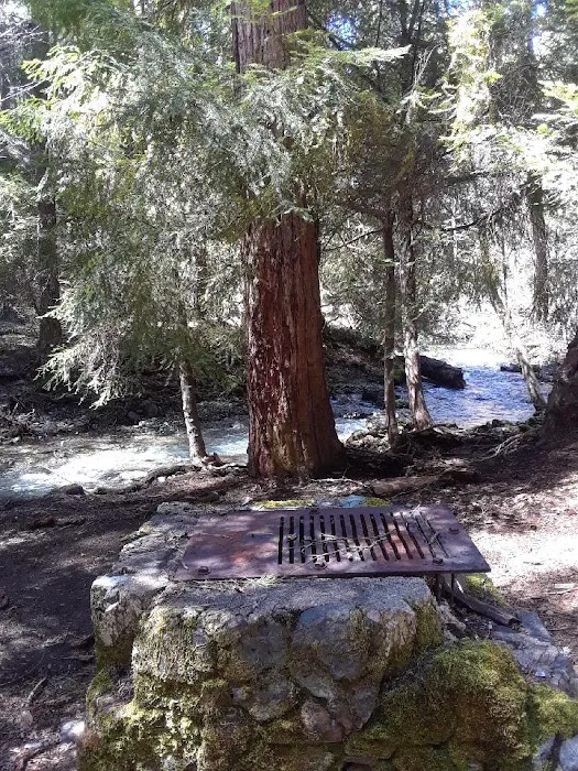 North Fork Beegum Creek Fcg 5